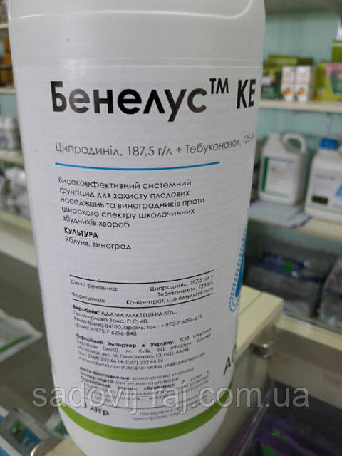 Жетілген фотосессиялардан дәмді фотосуреттер