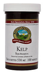 Буря водорість Келп (Kelp)