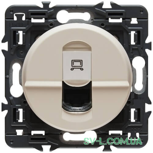 Розетка комп'ютерна RJ45 Celiane (слонова кістка) 067344+066235+080251