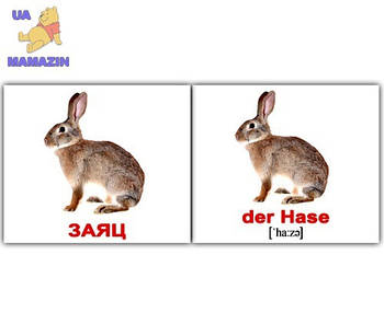 Карточки мини русско-немецкие "Дикие животные/Wildtiere" 094125 G-Rich