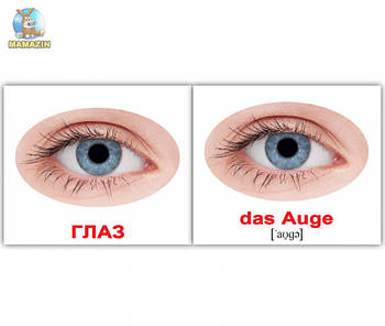 Карточки мини русско-немецкие "Наше тело/Unser Korper" 094002 G-Rich