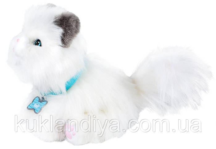 Cuddles my dream kitten cheap