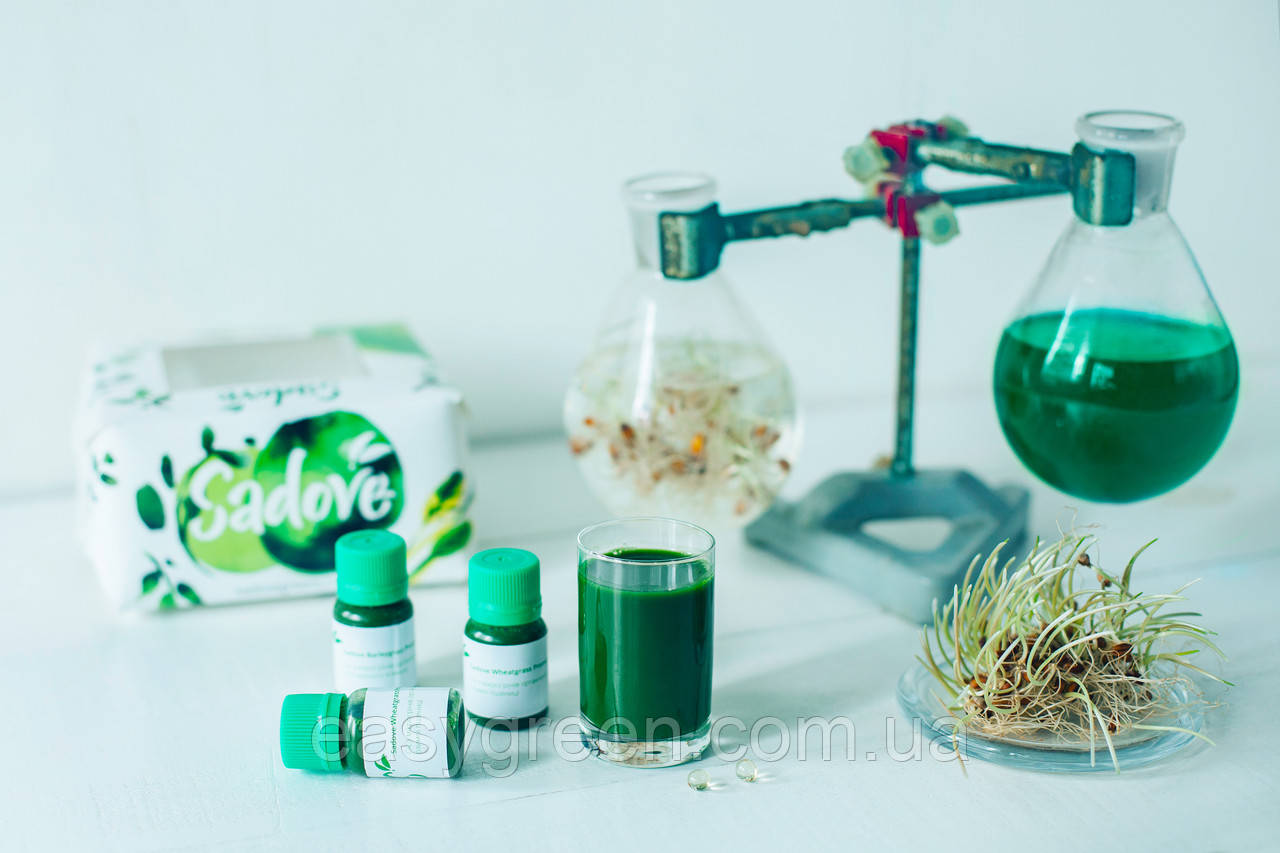 Хлорофіл натуральний питний без консервантів 20 мл Sadove, фото 1
