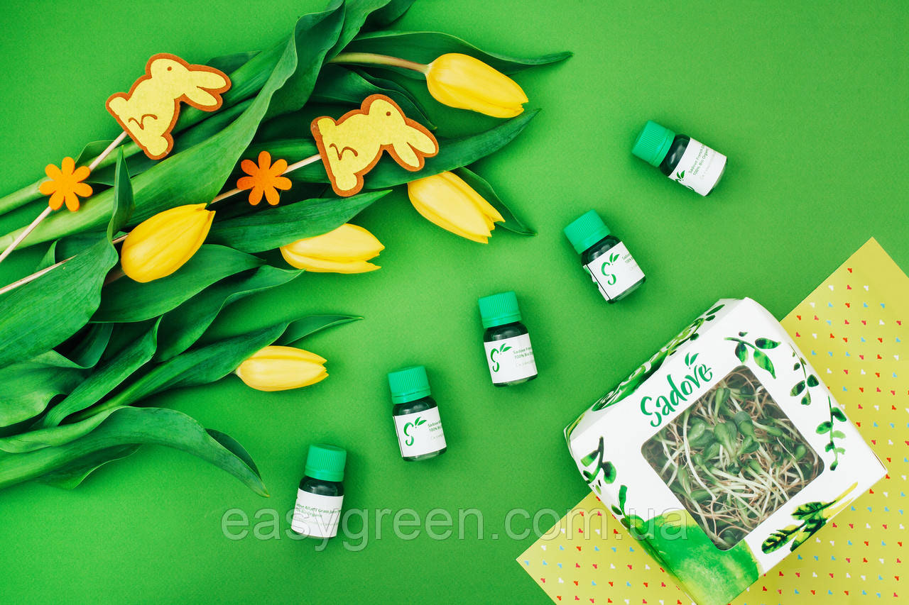 Екстракт Розторопші Premium 100% Bio Organic Відновлення клітин печінки, Детокс організму, фото 1