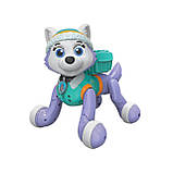 Інтерактивний робот-собака Цуценя Еверест Щенячий патруль Paw Patrol Zoomer, фото 6