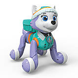 Інтерактивний робот-собака Цуценя Еверест Щенячий патруль Paw Patrol Zoomer, фото 7