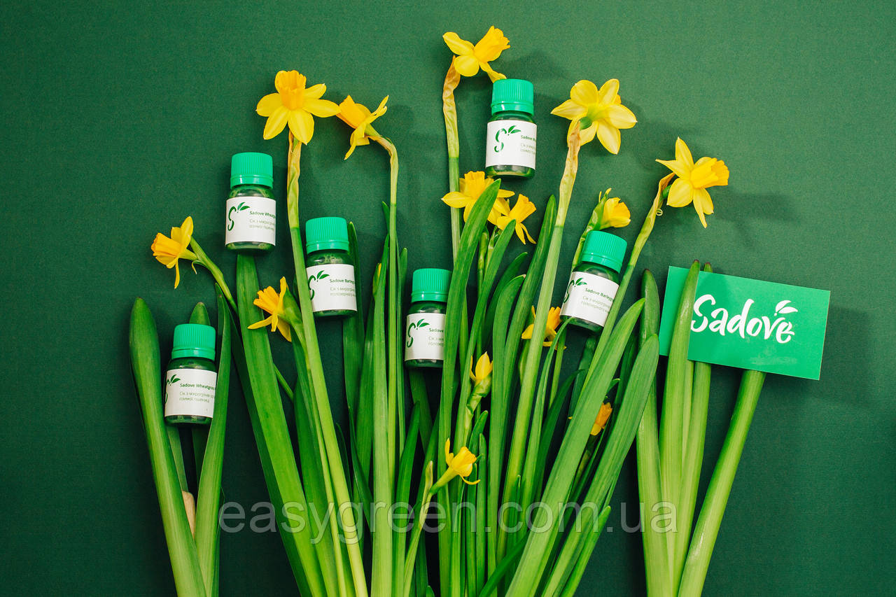 Екстракт сік броколі, паростків, мікрогріну Sadove 20 мл, фото 1