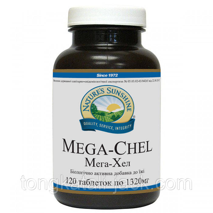 Мега - Хел (Mega - Chel)