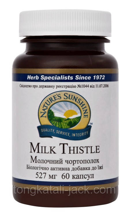 Молочний чортополох (Milk Thistle)