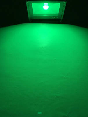 Світлодіодний прожектор зелений SL-10 10 W 220 В Код.59314, фото 2