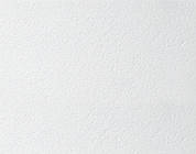 Bioguard Plain Board підвісна стеля Armstrong 600x600x15 мм