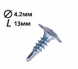 Саморіз пресшайба з буром 4,2х13 (100шт.), фото 3