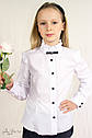 Блузка з довгим рукавом, брошкою і декоративними оборками 5015 ТМ " Albero Розміри 146- 158, фото 4
