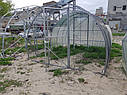 Курятник, 3х4 пташки, фото 4
