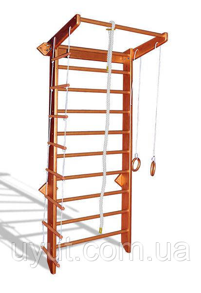 Спортивний куточок Babygrai bronze з мотузковим набором