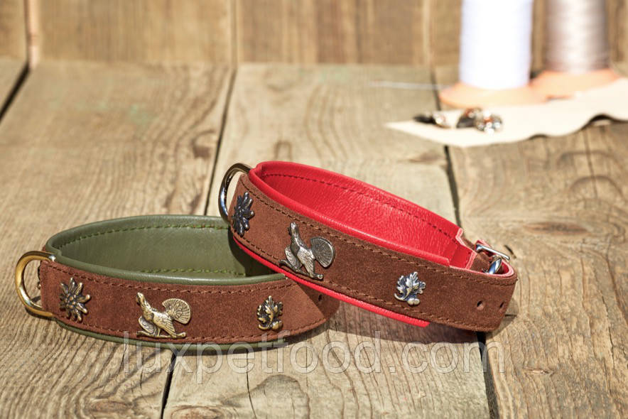 Maul Halsband "Balz" - Нашийник для собак «Балз» від 35см / 24мм до 55см / 35мм