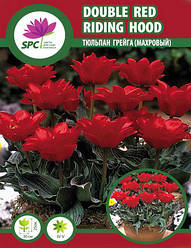 Тюльпан Double red Riding Hood