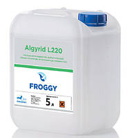 Хімія для басейнів Froggy Algyrid Shock L230 5 л — Рідкий препарат для швидкого видалення та попередження