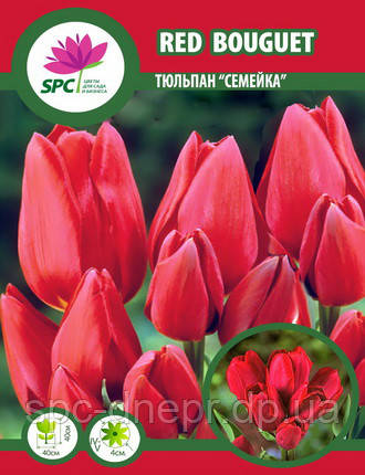 Тюльпан Red Bouquet, фото 1