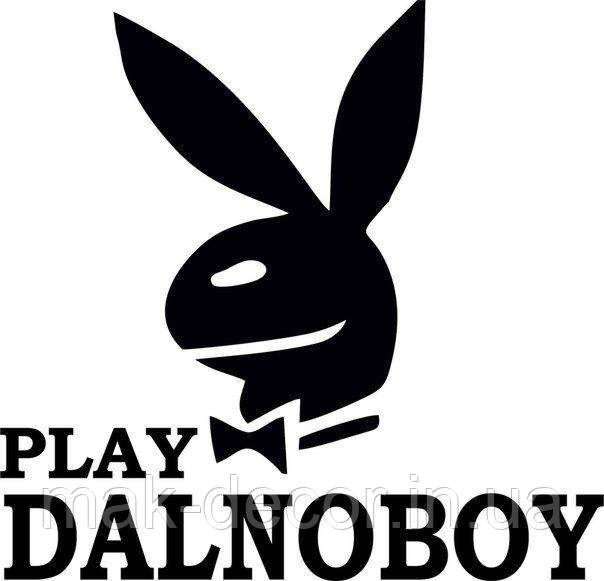 Вінілові наклейки на авто " Play dalnoboy 2 " 25х30 см