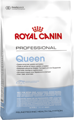 Royal Canin Queen 4 кг сухий корм для кішок в період вагітності і лактації