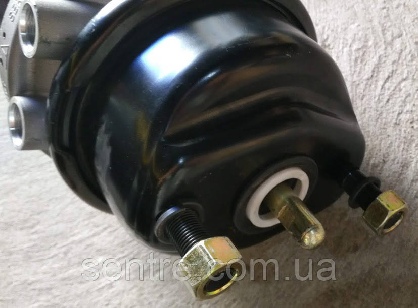 K007677 / BS8426 Энергоаккумулятор тип 20/24 HFL3 (дисковый тормоз ...