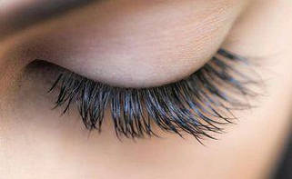 Інструменти та аксесуари для брів і вій