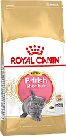 Royal Canin British Shorthair Kitten 400 г сухой корм для котят породы британская короткошерстная