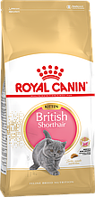 Сухий корм для кошенят породи британська короткошерста Royal Canin British Shorthair Kitten 400 г