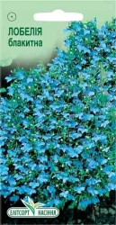 Семена Лобелии голубой 0,05 г - фото 1 - id-p56912897