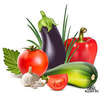 Насіння овочів і зелені великим оптом від виробника.