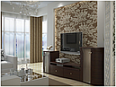 Стінка для вітальні з ДСП/МДФ Самбор Неман, фото 2