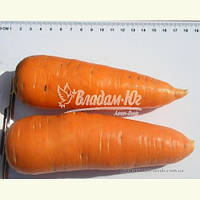 Семена моркови Шантане Реккор
