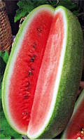 Семена арбуза Чарльстон Грей ( весовые от производителя)