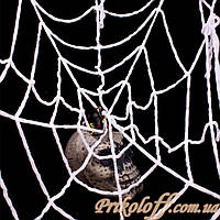 Павутина з павуком «Чорна вдова» павутина з павуком