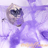 Павутина з павуками, КРАСНА павутина, фото 4