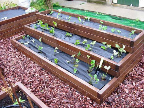 Вибір місця для грядки