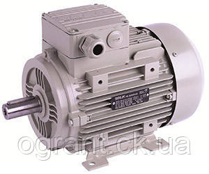 Трехфазный электродвигатель ELK 2p - 3000, 0.75 кВт - фото 1 - id-p724360550
