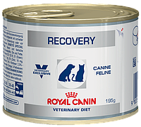 Консерви для кішок Royal Canin Recovery корм вологий у період відновлення 195 г