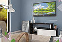Тумба під телевізор у вітальню з МДФ/ДСП TV-line 09 Неман, фото 2