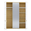 Шафа (шафа) з ДСП/МДФ в спальню/вітальню/дитячу розпашна 3д Valles H Blonski, фото 2