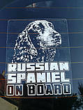 Наклейка на авто / машину Російський спанієль на борту-1, фото 3
