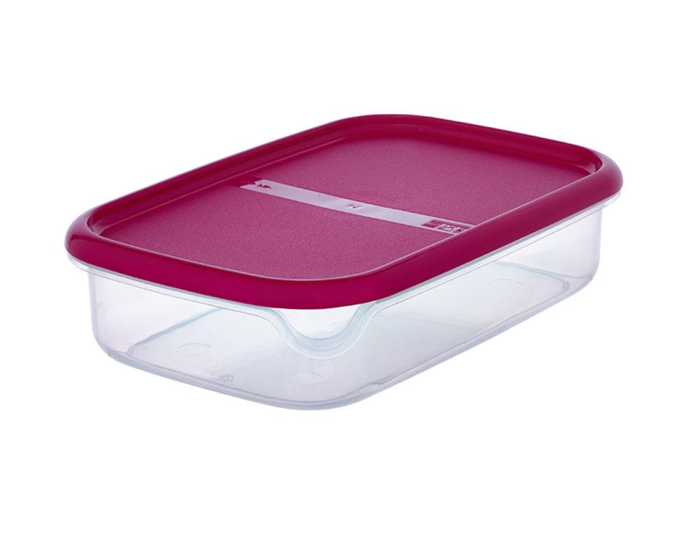 Контейнер RIVAL Easy 28,5x19x7 см 2 л (RIVAL391000)