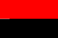 Прапор України. ОУН-УПА, фото 2