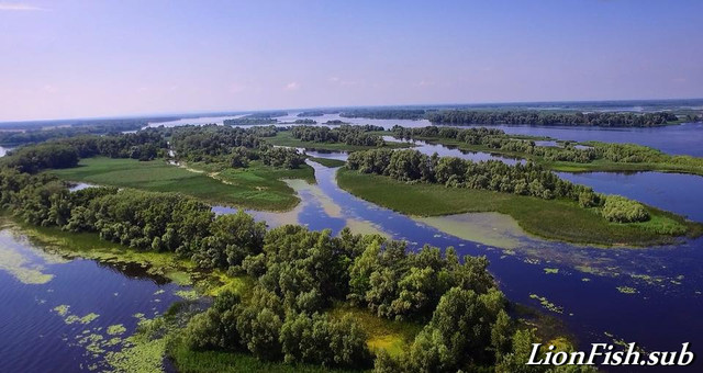 Всеукраїнський Зліт Підводних Мисливців Літо 2018г.