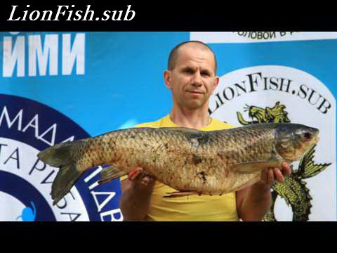 Всеукраїнський Зліт Підводних Мисливців Літо 2018г.