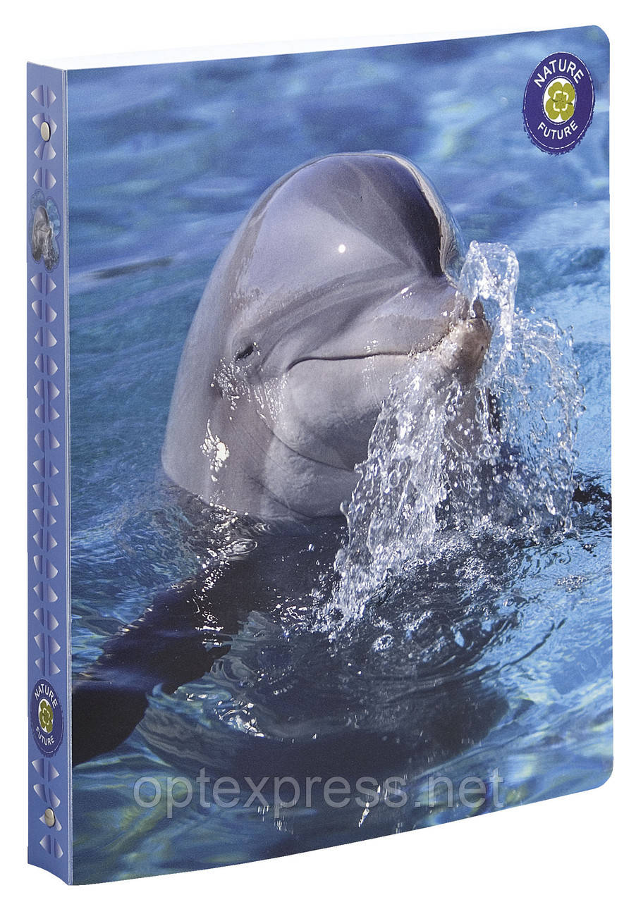 Папка пластикова на кільцях Wildlife 105846E, фото 1