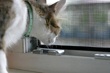 Москітна сітка "Антикішка" ІДЕАЛ (з крилом), біла, фото 1