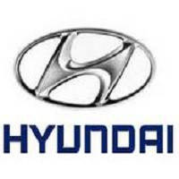 Хромовані накладки для Hyundai