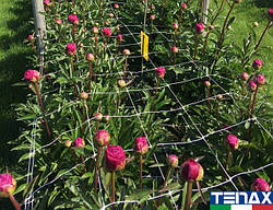 Сітка шпалерна для квітів Ортинет 10FGPO 1,12х1000 м (Tenax — Італія)